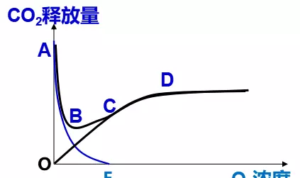 无氧呼吸的主要场所是什么(13)