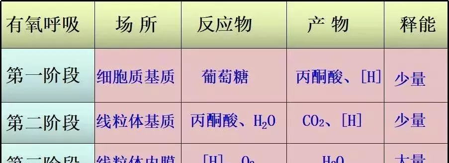 无氧呼吸的主要场所是什么(5)
