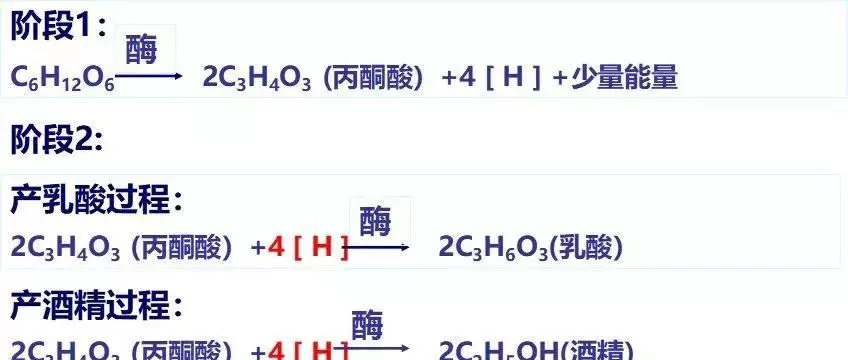 无氧呼吸的主要场所是什么(8)