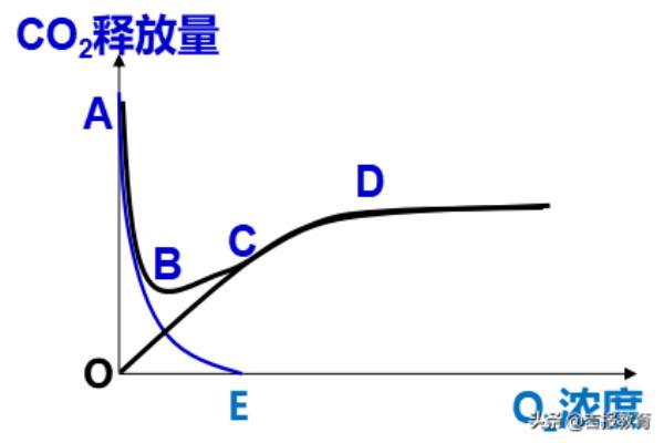 无氧呼吸的主要场所是什么.