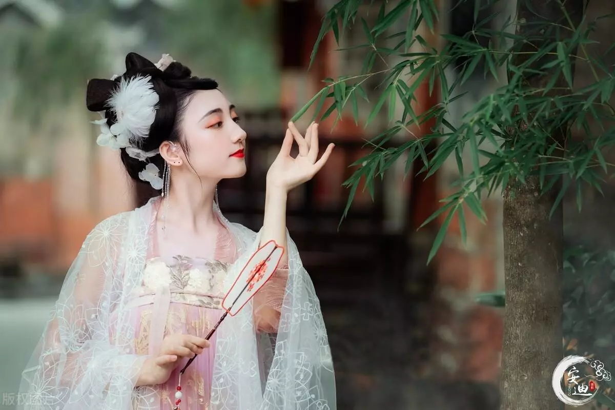 师说的中心论点是什么,作者是如何论证的(3)