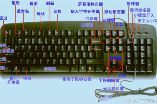 那五笔怎么打的五笔字.