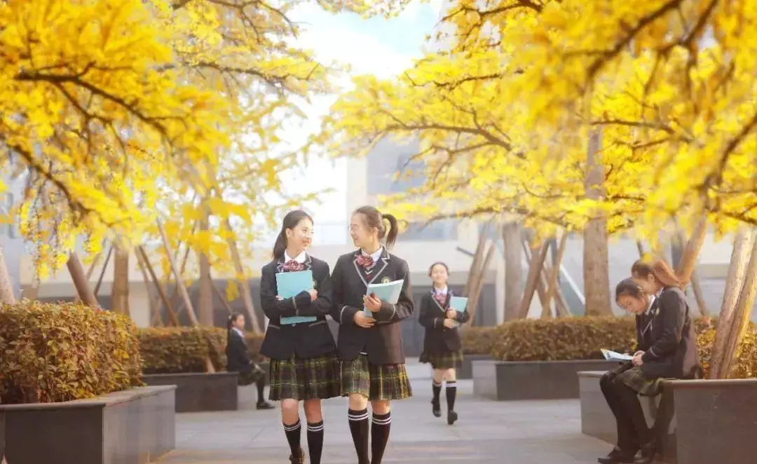 成都实验外国语学校怎么样(7)
