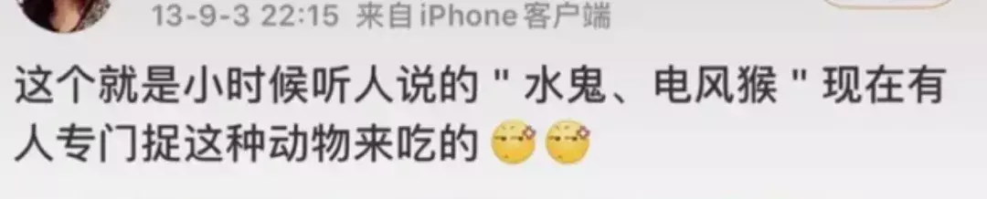 定风猴是什么动物(16)