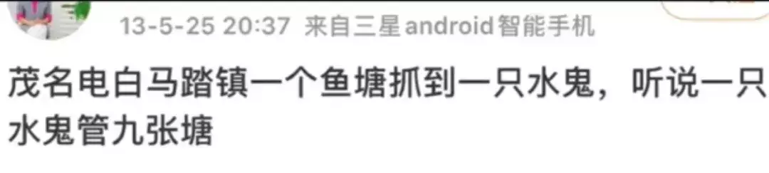 定风猴是什么动物(19)