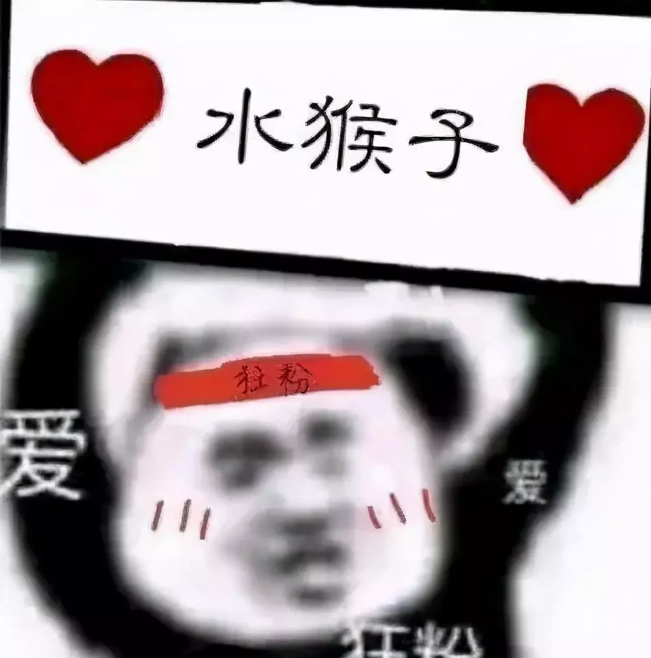定风猴是什么动物(25)