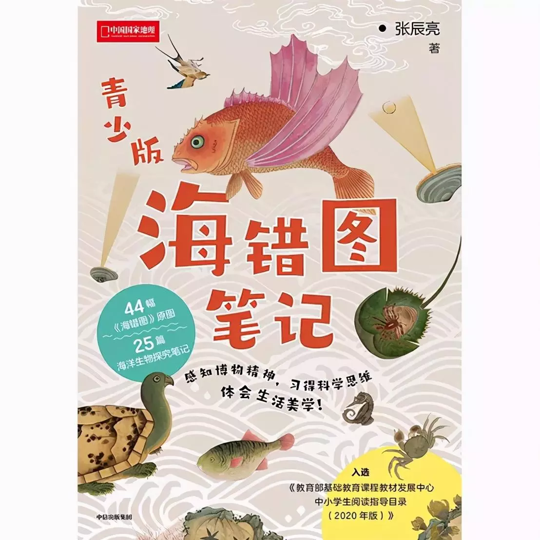 定风猴是什么动物(36)