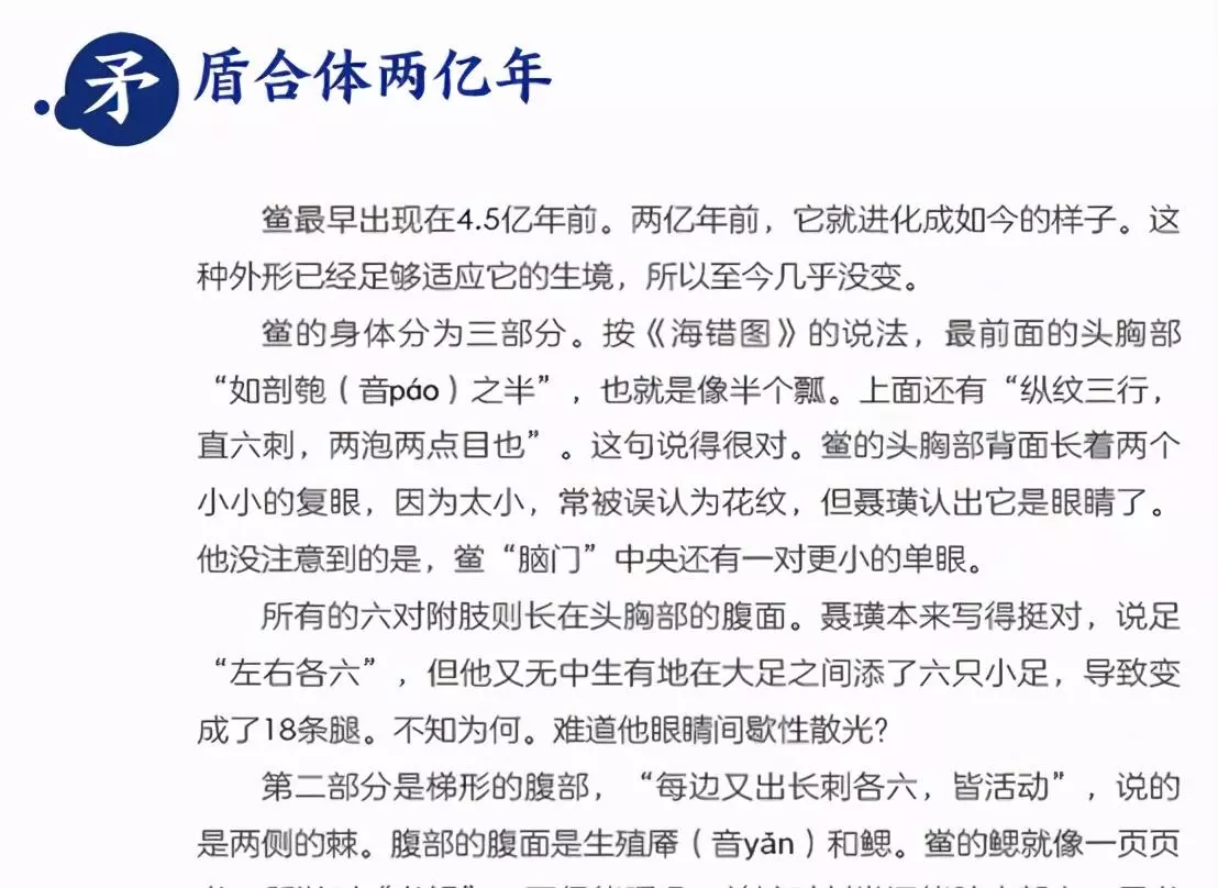 定风猴是什么动物(39)