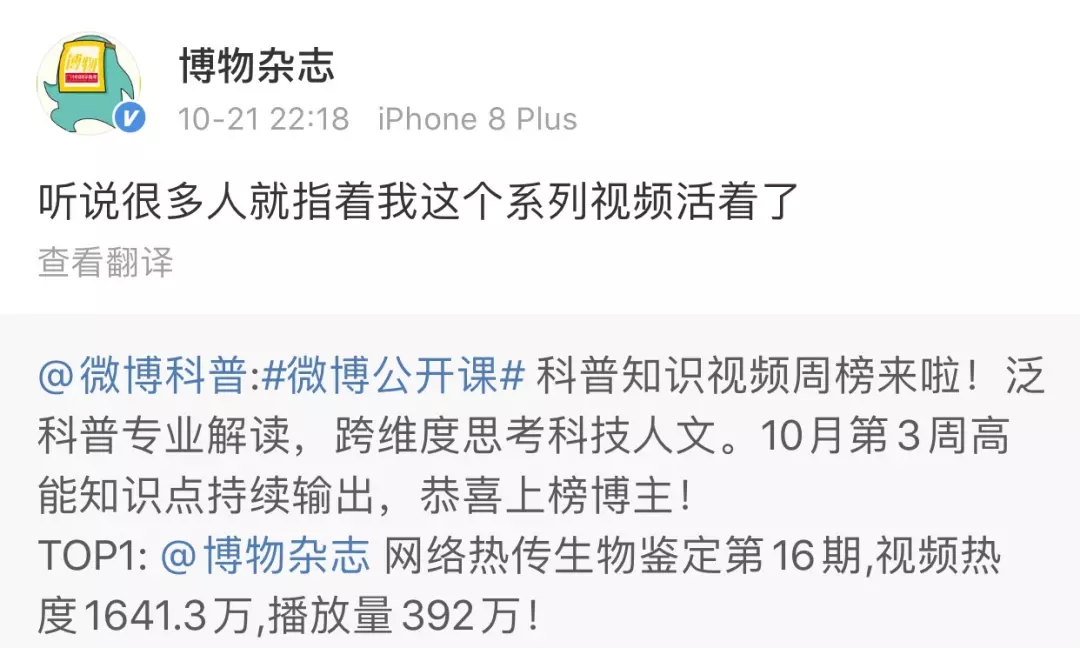 定风猴是什么动物(3)