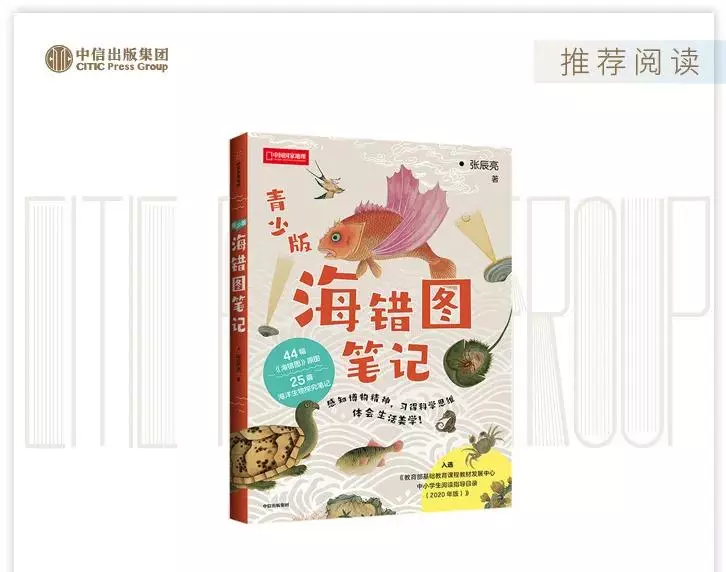 定风猴是什么动物(42)