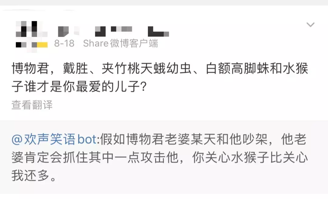 定风猴是什么动物(9)