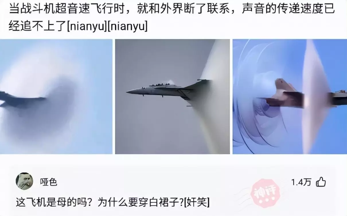 弱弱的问一句是什么意思啊怎么回答(5)