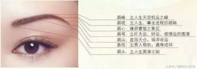 眉毛的财运到底有多重要(1)