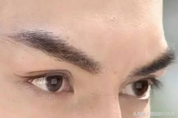 眉毛的财运到底有多重要.