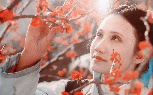 金陵十二钗都是哪些女子(7)